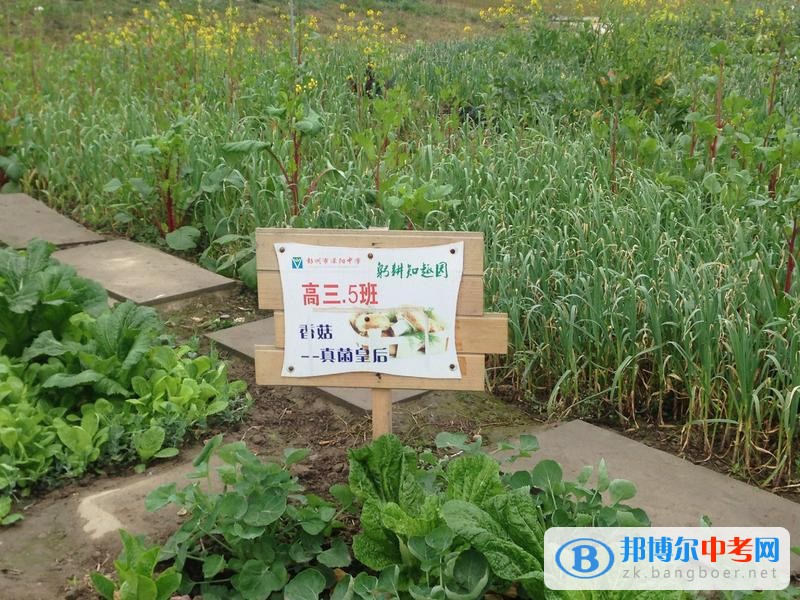 躬耕知趣園，一個趣味無窮的樂園