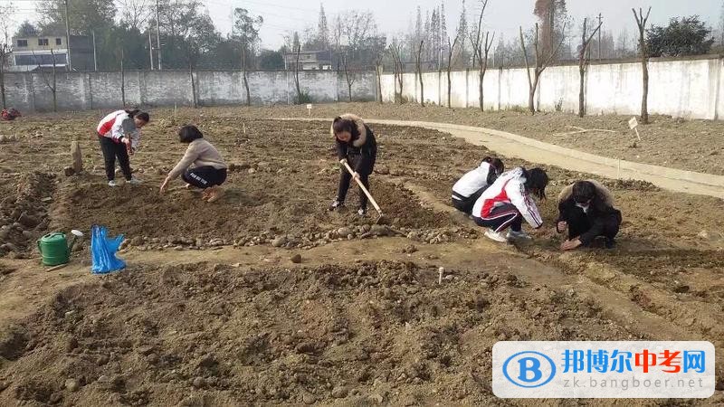 躬耕知趣園，一個趣味無窮的樂園