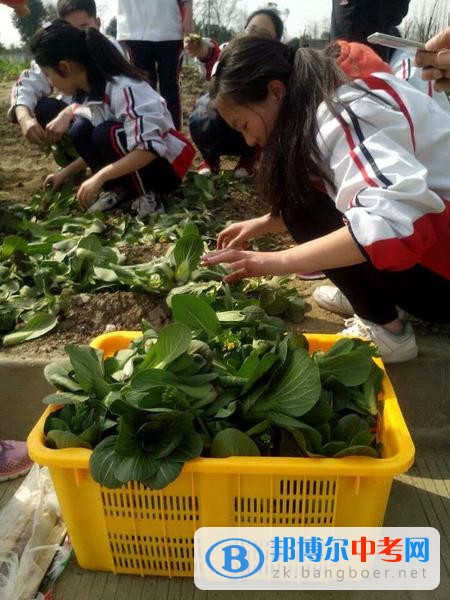 躬耕知趣園，一個趣味無窮的樂園