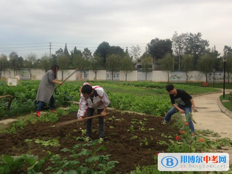 躬耕知趣園，一個趣味無窮的樂園