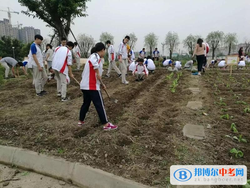 躬耕知趣園，一個趣味無窮的樂園