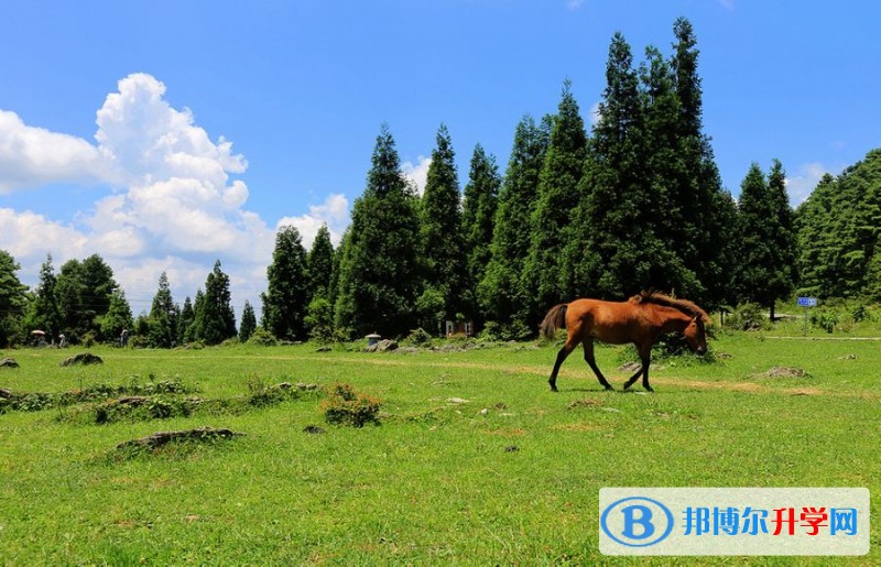 重慶市石柱中學(xué)校周邊景點