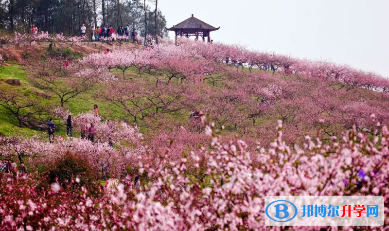 重慶市青木關(guān)中學(xué)校周邊景點(diǎn)