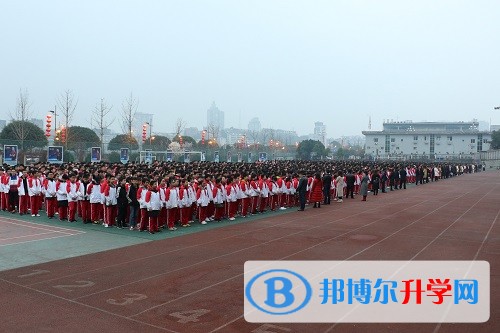 新年新氣象，追夢在路上