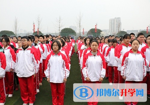 新年新氣象，追夢在路上