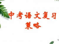 綿陽中考重點(diǎn)復(fù)習(xí)