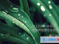 西安中考查詢成績(jī)網(wǎng)址