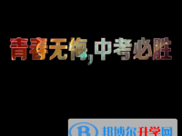 2020年巴中中考網(wǎng)錄取系統(tǒng)