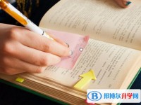 2020年巴中中考報(bào)名自薦信怎么寫