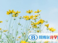 2020年達(dá)州中考報(bào)名服務(wù)平臺(tái)