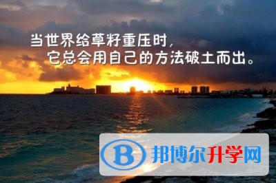 2020年達州中考的統(tǒng)招和調(diào)劑說明