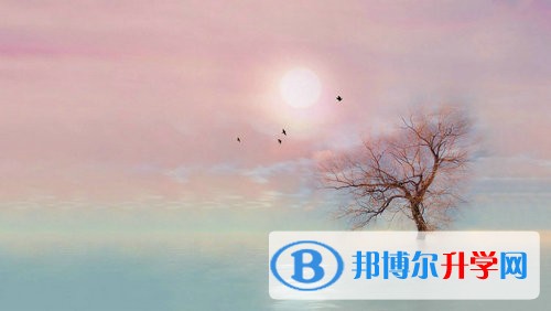 2020年內(nèi)江中考自主招生是什么意思