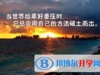 2020年內(nèi)江如果中考沒考上讀什么好