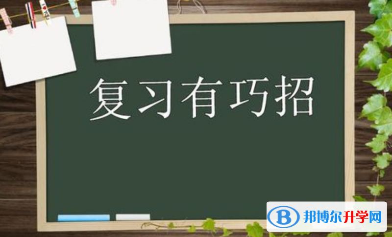 2020年樂山中考報名