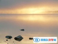 2020年樂山考起重高的人數(shù)