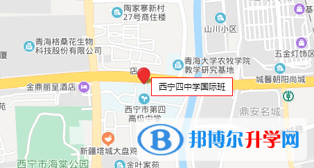 西寧第四高級中學國際班地址在哪里