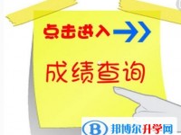 2020年眉山查詢中考成績的網(wǎng)址