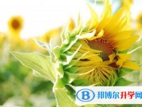 2020年樂山中考報(bào)名系統(tǒng)網(wǎng)址