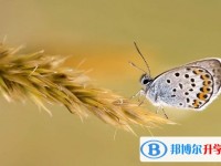 2020年樂山中考報(bào)名網(wǎng)站是什么