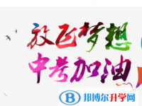 2020年自貢中考錄取結(jié)果查詢