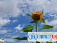 2020年銅仁查詢中考成績的網(wǎng)址