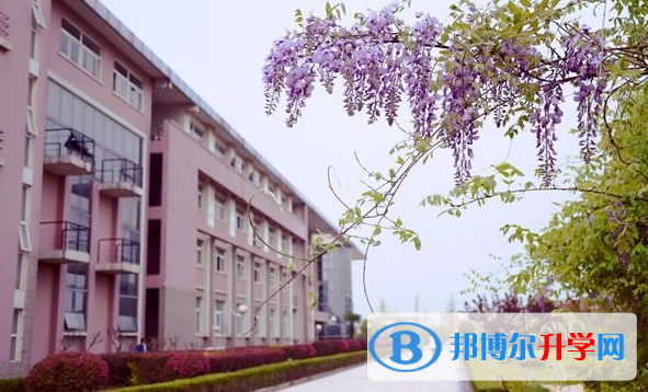 南京財經大學國際經貿學院怎么樣、好不好