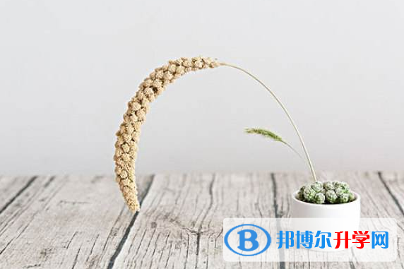 銅仁2020年生物中考會考試卷