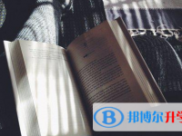 安順2020年中考錄取報(bào)名網(wǎng)