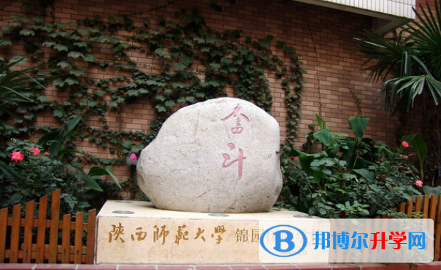 陜西師范大學(xué)錦園國(guó)際學(xué)校2020年招生簡(jiǎn)章