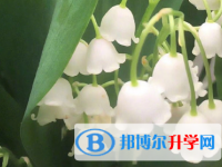 2020年玉溪中考考點(diǎn)有哪幾個(gè)