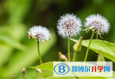 2020年玉溪中考重點(diǎn)復(fù)習(xí)