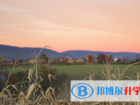 2020年麗江中考報(bào)名自薦信怎么寫