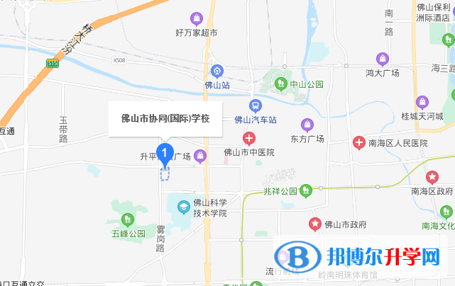 佛山協(xié)同國際學校地址在哪里