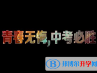 2021年楚雄中考后的出路