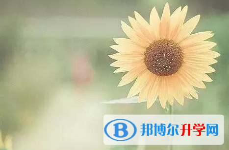  2021年楚雄未參加中考可以讀啥學(xué)校