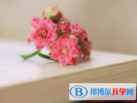 2021年楚雄中考報(bào)名網(wǎng)站是什么