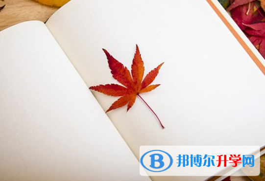  2021年紅河外地生中考怎沒成績