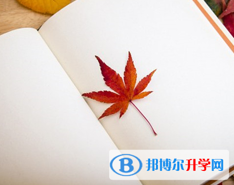 2021年紅河中考報(bào)考攻略