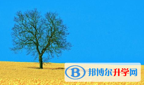 2021年寶雞中考特長(zhǎng)生招生簡(jiǎn)章