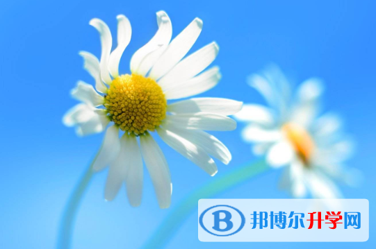  2021年寶雞中考網(wǎng)上報(bào)名模擬