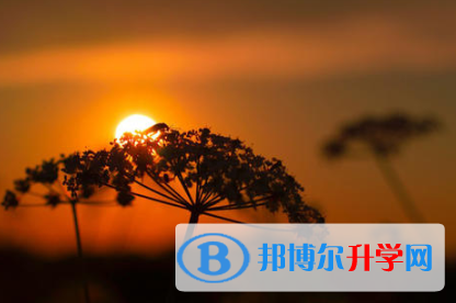 2021年寶雞中考準(zhǔn)考證信息