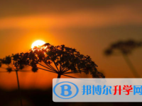 2021年寶雞中考準(zhǔn)考證信息