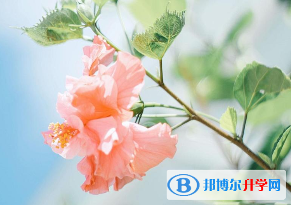 2021年文山今年中考統(tǒng)招線包括哪些區(qū)域