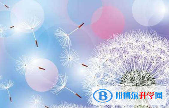 2021年寶雞中考報(bào)名自薦信怎么寫