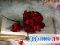 2021年怒江中考體考標(biāo)準(zhǔn)