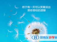 2021年廣安中考錄取報(bào)名網(wǎng)