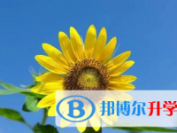 2021年宜賓中考怎樣考出好成績