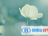 2021年宜賓中考報(bào)考人數(shù)