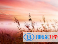 2021年宜賓中考報(bào)考指南