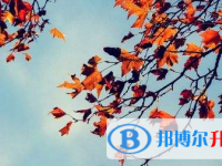 2021年宜賓中考報(bào)名網(wǎng)站